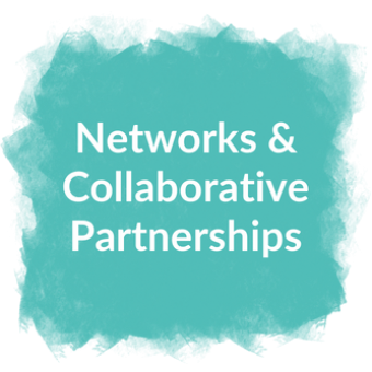 Networks & Collaborative Partnerships